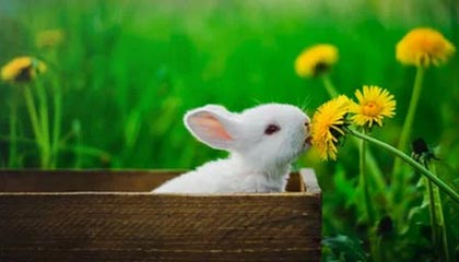 宣汉伴游,定制QQ:3494206190微信:act1322